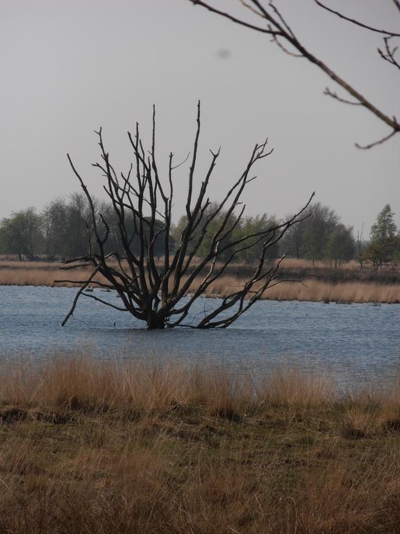 Gezond Boeren Verstand Dalerveen 外观 照片